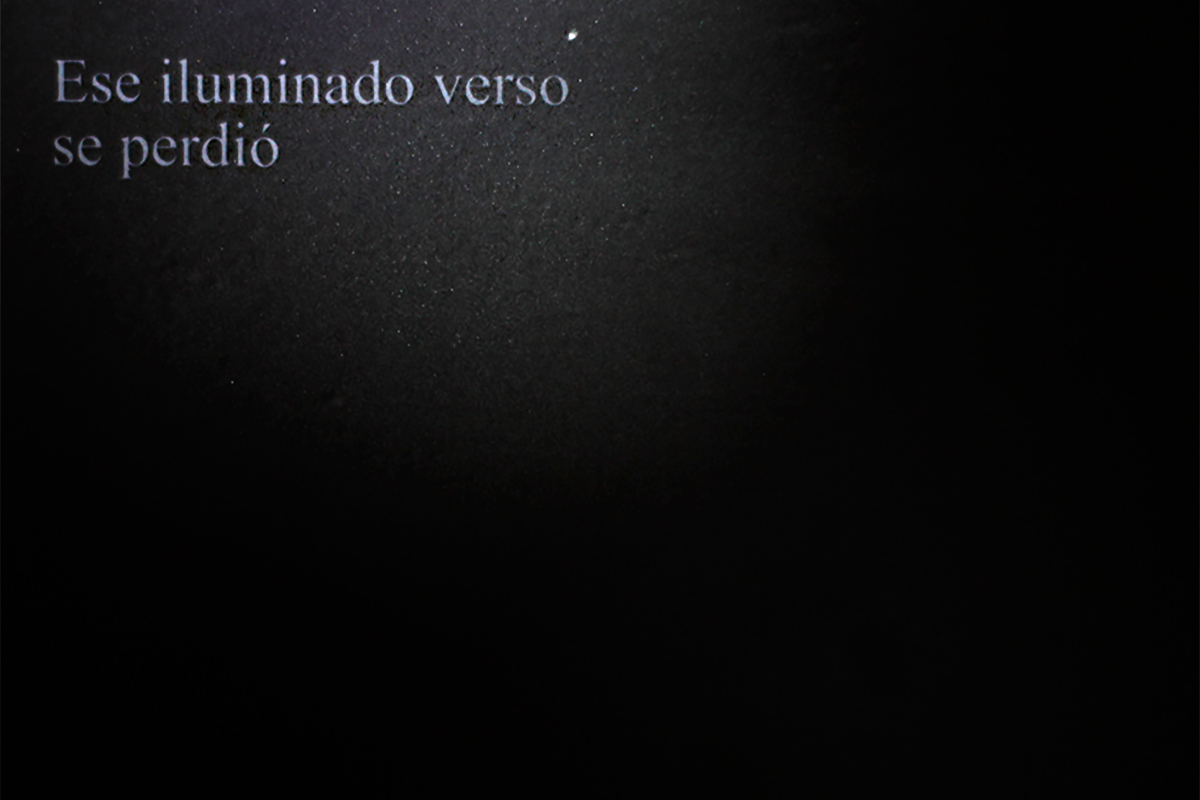 Ese-iluminado-verso-5